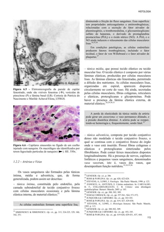 HISTOLOGIA
113
Figura 6.5 - Eletromicrografia da parede de capilar
fenestrado, onde são visíveis fenestras (), vesículas de
pinocitose (P) e lâmina basal (LB). Cortesia de Patrícia do
Nascimento e Matilde Achaval Elena, UFRGS.
Figura 6.6 - Capilares sinusoides no fígado de um coelho
injetado com nanquim. Os macrófagos são identificados por
terem fagocitado partículas de nanquim ( ). HE. 550x.
1.2.2  Artérias e Veias
Os vasos sanguíneos são formados pelas túnicas
íntima, média e adventícia, que, de forma
generalizada, podem assim ser descritas:
– túnica íntima, constituída pelo endotélio, pela
camada subendotelial de tecido conjuntivo frouxo
com células musculares ocasionais e pela lâmina
elástica interna, de material elástico;23
As células endoteliais formam uma superfície lisa,
23
SIMIONESCU & SIMIONESCU. Op. cit., pp. 315, 324-325, 329, 340,
342, 351.
diminuindo a fricção do fluxo sanguíneo. Essa superfície
tem propriedades anticoagulantes e antitrombogênicas,
relacionadas com a secreção do fator ativador de
plasminogênio, a trombomodulina, o glicosaminoglicano
sulfato de heparana, o derivado de prostaglandina
prostaciclina (PGI2) e o óxido nítrico (NO). A PGI2 e o
NO ainda induzem o relaxamento das células musculares
lisas.24,25,26
Em condições patológicas, as células endoteliais
produzem fatores trombogênicos, incluindo o fator
tecidual, o fator de von Willebrand e o fator ativador de
plaquetas.27
– túnica média, que possui tecido elástico ou tecido
muscular liso. O tecido elástico é composto por várias
lâminas elásticas, produzidas por células musculares
lisas. As lâminas elásticas são fenestradas, permitindo
a difusão dos nutrientes. As células musculares lisas,
organizadas em espiral, aparecem dispostas
circularmente no corte do vaso. Há ainda, secretadas
pelas células musculares, fibras colágenas, reticulares
e elásticas, proteoglicanas e glicoproteínas. Pode
haver a presença da lâmina elástica externa, de
material elástico; 28,29,30,31
A perda da elasticidade da túnica média da artéria
pode gerar um aneurisma: o vaso permanece dilatado, e
a pressão diastólica diminui. A artéria pode se romper,
tendo-se hemorragia e, frequentemente, sendo fatal.32
– túnica adventícia, composta por tecido conjuntivo
denso não modelado e tecido conjuntivo frouxo, o
qual se continua com o conjuntivo frouxo do órgão
onde o vaso está inserido. Possui fibras colágenas e
elásticas e proteoglicanas sintetizadas pelos
fibroblastos. Pode conter feixes musculares dispostos
longitudinalmente. Há a presença de nervos, capilares
linfáticos e pequenos vasos sanguíneos, denominados
vasa vasorum, isto é, vasos dos vasos, que
desempenham função nutridora.33,34,35,36
24
GENESER. Op. cit., p. 306.
25
ROSS & PAWLINA. Op. cit., pp. 420, 422-424.
26
STEVENS, A.; LOWE, J. Patologia. São Paulo: Manole, 1998. p. 123.
27
ZANESCO, A.; ANTUNES, E. Células endoteliais. In: CARVALHO,
H. F.; COLLARES-BUZATO, C. B. Células: uma abordagem
multidisciplinar. Barueri: Manole, 2005. p. 185.
28
GENESER. Op. cit., pp. 300, 302, 309.
29
HAM & CORMACK. Op. cit., pp. 557-561, 564, 571-572.
30
JUNQUEIRA & CARNEIRO. Op. cit., pp. 183-185.
31
ROSS & PAWLINA. Op. cit., pp. 419, 427, 429-430.
32
STEVENS, A.; LOWE, J. Histologia humana. São Paulo: Manole,
1995. p. 115.
33
GENESER. Op. cit., pp. 300-302, 309.
34
JUNQUEIRA & CARNEIRO. Op. cit., pp. 183, 185.
35
ROSS & PAWLINA. Op. cit., pp. 419-420, 429-431, 437, 444.
LB
T. Montanari
 