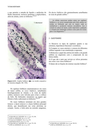 TATIANA MONTANARI
118
o que permite a entrada de líquido e moléculas do
fluido intersticial, inclusive proteínas e triglicerídeos,
além de células, como os linfócitos.85,86,87
Figura 6.14 - Capilar linfático ( ) no tecido conjuntivo
do intestino delgado. HE. 550x.
Os capilares linfáticos anastomosam-se em vasos
de maior calibre, os vasos linfáticos, semelhantes
histologicamente às vênulas e às veias de médio
calibre, inclusive com válvulas para evitar o refluxo
da linfa. Há linfonodos interpostos no trajeto que
filtram a linfa e adicionam os linfócitos.88,89,90
Os vasos linfáticos terminam em dois grandes
troncos: o ducto torácico e o ducto linfático principal
direito, que desembocam nas veias próximas ao
coração. Assim, a linfa entra na corrente sanguínea.
85
JUNQUEIRA & CARNEIRO. Op. cit., pp. 179, 190.
86
LOWE & ANDERSON. Op. cit., p. 152.
87
OVALLE & NAHIRNEY. Op. cit., p. 193.
88
GARTNER & HIATT. Op. cit., p. 276.
89
JUNQUEIRA & CARNEIRO. Op. cit., pp. 179, 190.
90
LOWE & ANDERSON. Op. cit., p. 152.
Os ductos linfáticos são estruturalmente semelhantes
às veias de grande calibre.91
As células cancerosas podem entrar nos capilares
linfáticos e, ao serem transportadas pela linfa, podem ser
retidas no linfonodo que está no trajeto, onde se
multiplicam e produzem tumores secundários. Isso é
comum no câncer de mama, sendo importante a palpação
e a biopsia dos linfonodos axilares como parte do exame
para o seu diagnóstico.92
3  QUESTIONÁRIO
1) Descreva os tipos de capilares quanto à sua
estrutura, importância funcional e ocorrência.
2) Compare os vasos arteriais e venosos de diferentes
calibres segundo à sua constituição e espessura.
3) Relacione o papel das artérias de médio e de grande
calibres no organismo com a composição da sua
túnica média.
4) O que são e para que servem as valvas presentes
nas veias e nos vasos linfáticos?
5) Quais são as funções do sistema vascular linfático?
91
JUNQUEIRA & CARNEIRO. Op. cit., pp. 190-191.
92
LOWE & ANDERSON. Op. cit., p. 153.
T. Montanari
 