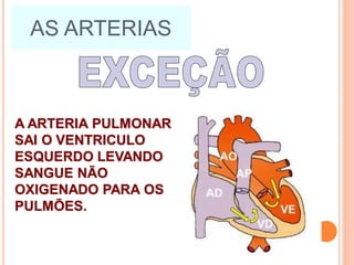 AS ARTERIAS
A ARTERIA PULMONAR
SAI O VENTRICULO
ESQUERDO LEVANDO
SANGUE NÃO
OXIGENADO PARA OS
PULMÕES.
 