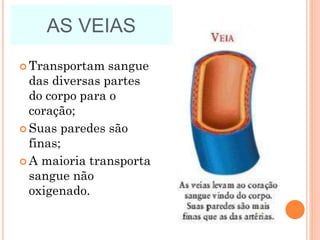 AS VEIAS
 Transportam sangue
das diversas partes
do corpo para o
coração;
 Suas paredes são
finas;
 A maioria transporta
sangue não
oxigenado.
 