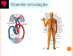 Grande circulação
 