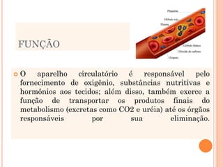 FUNÇÃO
 O aparelho circulatório é responsável pelo
fornecimento de oxigênio, substâncias nutritivas e
hormônios aos tecidos; além disso, também exerce a
função de transportar os produtos finais do
metabolismo (excretas como CO2 e uréia) até os órgãos
responsáveis por sua eliminação.
 