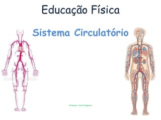 Educação Física

Sistema Circulatório




       Professor: Jeimis Nogueira
 