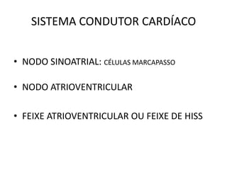 SISTEMA CONDUTOR CARDÍACO
• NODO SINOATRIAL: CÉLULAS MARCAPASSO
• NODO ATRIOVENTRICULAR
• FEIXE ATRIOVENTRICULAR OU FEIXE DE HISS
 