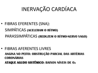 INERVAÇÃO CARDÍACA
• FIBRAS EFERENTES (SNA):
SIMPÁTICAS (ACELERAM O RÍTMO)
PARASSIMPÁTICAS (REDUZEM O RÍTMO-NERVO VAGO)
• FIBRAS AFERENTES LIVRES
ANGINA NO PEITO: OBSTRUÇÃO PARCIAL DAS ARTÉRIAS
CORONÁRIAS
ATAQUE AGUDO SISTÊMICO: BAIXOS NÍVEIS DE O2
 
