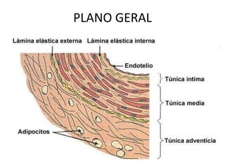 PLANO GERAL
 