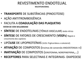 REVESTIMENTO ENDOTELIAL
MULTIFUNCIONAL
• TRANSPORTE DE SUBSTÂNCIAS (PINOCITOSE)
• AÇÃO ANTITROMBOGÊNICA
• FACILITA A COAGULAÇÃO DAS PLAQUETAS
FATOR DE VON WILLEBRAND
• SÍNTESE DE ENDOTELINAS (TÔNUS VASCULAR) óxido nítrico
• SÍNTESE DE FATORES DE CRESCIMENTO (VEGFs) Regula o
crescimento dos capilares
• LIPÓLISE DE LIPOPROTEÍNAS (VLDL-Triglicerídeos e colesterol)
• ATIVAÇÃO DE COMPOSTOS (Enzimas de conversão ANGIOSTENSIA I-II)
• INATIVAÇÃO DE COMPOSTOS (SEROTONINA, NOREPINEFRINA,...)
• RECEPTORES PARA SELECTINAS E INTEGRINAS- DIAPEDESE
 