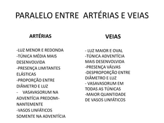 PARALELO ENTRE ARTÉRIAS E VEIAS
ARTÉRIAS
-LUZ MENOR E REDONDA
-TÚNICA MÉDIA MAIS
DESENVOLVIDA
-PRESENÇA LIMITANTES
ELÁSTICAS
-PROPORÇÃO ENTRE
DIÂMETRO E LUZ
- VASAVASORUM NA
ADVENTÍCIA PREDOMI-
NANTEMENTE
-VASOS LINFÁTICOS
SOMENTE NA ADVENTÍCIA
VEIAS
- LUZ MAIOR E OVAL
-TÚNICA ADVENTÍCIA
MAIS DESENVOLVIDA
-PRESENÇA VÁLVAS
-DESPROPORÇÃO ENTRE
DIÂMETRO E LUZ
- VASAVASORUM EM
TODAS AS TÚNICAS
-MAIOR QUANTIDADE
DE VASOS LINFÁTICOS
 