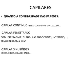 CAPILARES
• QUANTO À CONTINUIDADE DAS PAREDES:
-CAPILAR CONTÍNUO TECIDO CONJUNTIVO, MÚSCULO, SNC...
-CAPILAR FENESTRADO
COM DIAFRAGMA: GLÂNDULAS ENDÓCRINAS, INTESTINO, ...
SEM DIAFRAGMA: RINS
-CAPILAR SINUSÓIDES
MEDULA ÓSEA, FÍGADO, BAÇO,...
 