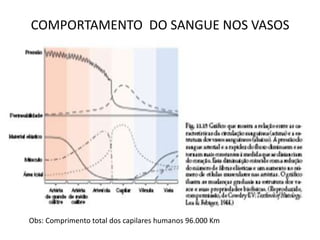 COMPORTAMENTO DO SANGUE NOS VASOS
Obs: Comprimento total dos capilares humanos 96.000 Km
 