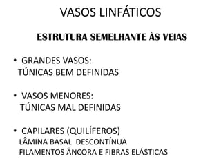 VASOS LINFÁTICOS
ESTRUTURA SEMELHANTE ÀS VEIAS
• GRANDES VASOS:
TÚNICAS BEM DEFINIDAS
• VASOS MENORES:
TÚNICAS MAL DEFINIDAS
• CAPILARES (QUILÍFEROS)
LÂMINA BASAL DESCONTÍNUA
FILAMENTOS ÂNCORA E FIBRAS ELÁSTICAS
 