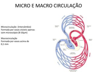 MICRO E MACRO CIRCULAÇÃO
Microcirculação (Intercâmbio)
Formada por vasos visíveis apenas
com microscópio (8-10µm)
Macrocirculação
Formada por vasos acima de
0,1 mm
 