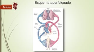 Esquema aperfeiçoado 
Resumo 
 