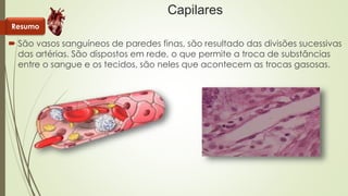 Capilares 
Resumo 
 São vasos sanguíneos de paredes finas, são resultado das divisões sucessivas 
das artérias. São dispostos em rede, o que permite a troca de substâncias 
entre o sangue e os tecidos, são neles que acontecem as trocas gasosas. 
 