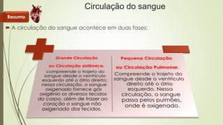 Circulação do sangue 
Resumo 
 A circulação do sangue acontece em duas fases: 
 