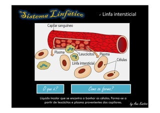  Linfa intersticial
by Ana Kastro
O que é?O que é? Como se forma?Como se forma?
Líquido incolor que se encontra a banhar as células. Forma-se a
partir de leucócitos e plasma provenientes dos capilares.
 