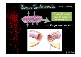  Vasos sanguíneos
A importância da
reduzida espessura
de um capilar...
A importância da
reduzida espessura
de um capilar...
... Há que haver trocas...
by Ana Kastro
 