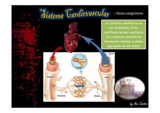  Vasos sanguíneos
As artérias ramificam-se
em arteríolas. Estas
ramificam-se em capilares.
Os capilares reuném-se
formando vénulas e estas
agrupam-se em veias.
As artérias ramificam-se
em arteríolas. Estas
ramificam-se em capilares.
Os capilares reuném-se
formando vénulas e estas
agrupam-se em veias.
by Ana Kastro
 