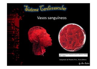 Vasos sanguíneos
by Ana Kastro
Adaptado de Planeta Vivo , Porto Editora
 