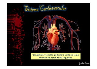 by Ana Kastro
Um glóbulo vermelho pode dar a volta ao corpo
humano em cerca de 40 segundos.
 