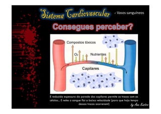 Vasos sanguíneos
O2 Nutrientes
Compostos tóxicos
by Ana Kastro
E reduzida espessura da parede dos capilares permite as trocas com as
células... E neles o sangue flui a baixa velocidade (para que haja tempo
dessas trocas ocorrerem!)
 