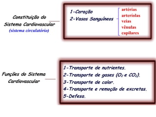 Sistema circulatório (1)