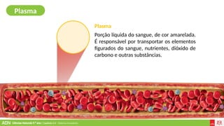 Ciências Naturais 9.º ano | Capítulo 2.4 – Sistema circulatório
Plasma
Porção líquida do sangue, de cor amarelada.
É responsável por transportar os elementos
figurados do sangue, nutrientes, dióxido de
carbono e outras substâncias.
Plasma
 
