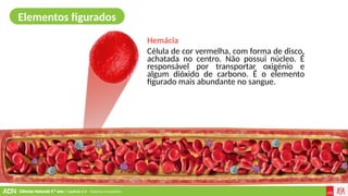 Ciências Naturais 9.º ano | Capítulo 2.4 – Sistema circulatório
Hemácia
Célula de cor vermelha, com forma de disco,
achatada no centro. Não possui núcleo. É
responsável por transportar oxigénio e
algum dióxido de carbono. É o elemento
figurado mais abundante no sangue.
Elementos figurados
 