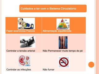 Fazer exercícios Físicos Alimentação equilibrada
Controlar a tensão arterial Não Permanecer muito tempo de pé
Controlar as infecções Não fumar
Cuidados a ter com o Sistema Circulatório
 