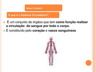  É um conjunto de órgãos que tem como função realizar
a circulação do sangue por todo o corpo.
 É constituído pelo coração e vasos sanguíneos
SistemaCirculatório
O que é o Sistema Circulatório?
 