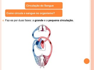  Faz-se por duas fases: a grande e a pequena circulação.
Circulação do Sangue
Como circula o sangue no organismo?
 