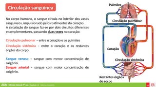 Ciências Naturais 9.º ano | Capítulo 2.4 – Sistema circulatório
Circulação sanguínea
No corpo humano, o sangue circula no interior dos vasos
sanguíneos, impulsionado pelos batimentos do coração.
A circulação do sangue faz-se por dois circuitos diferentes
e complementares, passando duas vezes no coração:
Circulação pulmonar – entre o coração e os pulmões
Circulação sistémica – entre o coração e os restantes
órgãos do corpo
Sangue venoso – sangue com menor concentração de
oxigénio.
Sangue arterial – sangue com maior concentração de
oxigénio.
Pulmões
Circulação pulmonar
Circulação sistémica
Coração
Restantes órgãos
do corpo
 