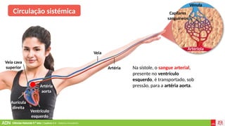 Ciências Naturais 9.º ano | Capítulo 2.4 – Sistema circulatório
Veia
Ventrículo
esquerdo
Aurícula
direita
Veia cava
superior
Artéria
aorta
Artéria
Vénula
Arteríola
Capilares
sanguíneos
Circulação sistémica
Na sístole, o sangue arterial,
presente no ventrículo
esquerdo, é transportado, sob
pressão, para a artéria aorta.
 