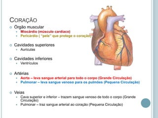 CORAÇÃO
   Órgão muscular
       Miocárdio (músculo cardíaco)
       Pericárdio ( “pele” que protege o coração).

   Cavidades superiores
       Aurículas

   Cavidades inferiores
       Ventrículos

   Artérias
       Aorta – leva sangue arterial para todo o corpo (Grande Circulação)
       Pulmonar – leva sangue venoso para os pulmões (Pequena Circulação)

   Veias
     Cava superior e inferior – trazem sangue venoso de todo o corpo (Grande
      Circulação)
     Pulmonar – traz sangue arterial ao coração (Pequena Circulação)
 