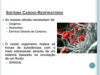 SISTEMA CARDIO-RESPIRATÓRIO
   As nossas células necessitam de:
     Oxigénio;
     Nutrientes;
     Eliminar Dióxido de Carbono;




   O nosso organismo realiza as
    trocas de substâncias com o
    meio extracelular através de um
    sistema baseado na circulação
    de um fluído:
       SANGUE
 