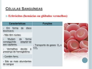 CÉLULAS SANGUÍNEAS
     Eritrócitos (hemácias ou glóbulos vermelhos)

      Características               Funções
- Em forma        de    disco
biconcavo;
- Não têm núcleo;
-   Mudam      de   forma
conseguindo     adaptar-se
aos capilares;             - Transporte de gases: O2 e
- Vermelhos devido à CO2
presença de hemoglobina;

- Contêm ferro;

- São as mais abundantes
do sangue
 