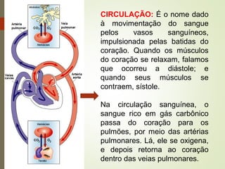 CIRCULAÇÃO: É o nome dado
à movimentação do sangue
pelos vasos sanguíneos,
impulsionada pelas batidas do
coração. Quando os músculos
do coração se relaxam, falamos
que ocorreu a diástole; e
quando seus músculos se
contraem, sístole.
Na circulação sanguínea, o
sangue rico em gás carbônico
passa do coração para os
pulmões, por meio das artérias
pulmonares. Lá, ele se oxigena,
e depois retorna ao coração
dentro das veias pulmonares.
 
