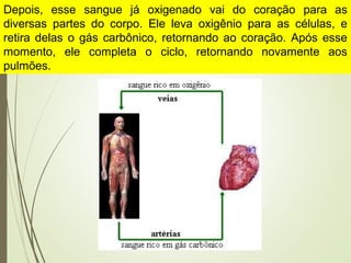 Depois, esse sangue já oxigenado vai do coração para as
diversas partes do corpo. Ele leva oxigênio para as células, e
retira delas o gás carbônico, retornando ao coração. Após esse
momento, ele completa o ciclo, retornando novamente aos
pulmões.
 