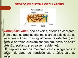 VASOS CAPILARES: são as veias, artérias e capilares.
Sendo que as artérias são mais largas e flexíveis, as
veias mais finas, mas igualmente resistentes (isso
porque as veias circulam sangue em locais de baixa
pressão, portanto precisa ser resistente).
Os capilares são os menores vasos sanguíneos e
sevem de canal de transição das artérias para as
veias.
ÓRGÃOS DO SISTEMA CIRCULATÓRIO
 