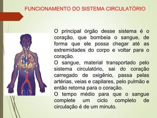 FUNCIONAMENTO DO SISTEMA CIRCULATÓRIO
O principal órgão desse sistema é o
coração, que bombeia o sangue, de
forma que ele possa chegar até as
extremidades do corpo e voltar para o
coração.
O sangue, material transportado pelo
sistema circulatório, sai do coração
carregado de oxigênio, passa pelas
artérias, veias e capilares, pelo pulmão e
então retorna para o coração.
O tempo médio para que o sangue
complete um ciclo completo de
circulação é de um minuto.
 