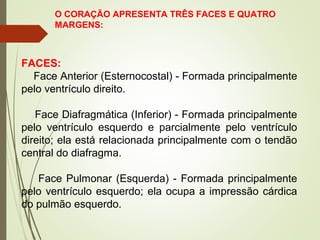 O CORAÇÃO APRESENTA TRÊS FACES E QUATRO
MARGENS:
FACES:
Face Anterior (Esternocostal) - Formada principalmente
pelo ventrículo direito.
Face Diafragmática (Inferior) - Formada principalmente
pelo ventrículo esquerdo e parcialmente pelo ventrículo
direito; ela está relacionada principalmente com o tendão
central do diafragma.
Face Pulmonar (Esquerda) - Formada principalmente
pelo ventrículo esquerdo; ela ocupa a impressão cárdica
do pulmão esquerdo.
 