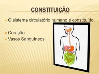 ConstituiçãoO sistema circulatório humano é constituído:Coração Vasos Sanguíneos