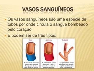 Vasos SanguíneosOs vasos sanguíneos são uma espécie de tubos por onde circula o sangue bombeado pelo coração.E podem ser de três tipos: 