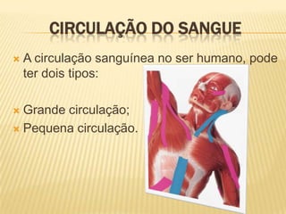 Circulação do sangueA circulação sanguínea no ser humano, pode ter dois tipos:Grande circulação;Pequena circulação.