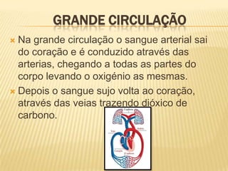Grande circulaçãoNa grande circulação o sangue arterialsai do coração e é conduzido através das arterias, chegando a todas as partes do corpo levando o oxigénio as mesmas.Depois o sangue sujo volta ao coração, através das veias trazendo dióxico de carbono.