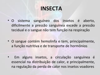 INSECTA
• O sistema sanguíneo dos insetos é aberto,
dificilmente a pressão sanguínea excede a pressão
tecidual e o sangue não tem função na respiração
• O sangue contém hemolinfa e tem, principalmente,
a função nutritiva e de transporte de hormônios
• Em alguns insetos, a circulação sanguínea é
essencial na distribuição de calor, e principalmente,
na regulação da perda de calor nos insetos voadores
 