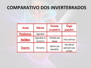COMPARATIVO DOS INVERTEBRADOS
 