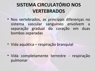 SISTEMA CIRCULATÓRIO NOS
VERTEBRADOS
• Nos vertebrados, as principais diferenças no
sistema vascular sanguíneo envolvem a
separação gradual do coração em duas
bombas separadas
• Vida aquática – respiração branquial
• Vida completamente terrestre - respiração
pulmonar
 