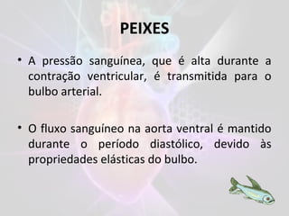PEIXES
• A pressão sanguínea, que é alta durante a
contração ventricular, é transmitida para o
bulbo arterial.
• O fluxo sanguíneo na aorta ventral é mantido
durante o período diastólico, devido às
propriedades elásticas do bulbo.
 