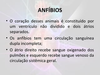 ANFÍBIOS
• O coração desses animais é constituído por
um ventrículo não dividido e dois átrios
separados.
• Os anfíbios tem uma circulação sanguínea
dupla incompleta;
• O átrio direito recebe sangue oxigenado dos
pulmões e esquerdo recebe sangue venoso da
circulação sistêmica geral.
 